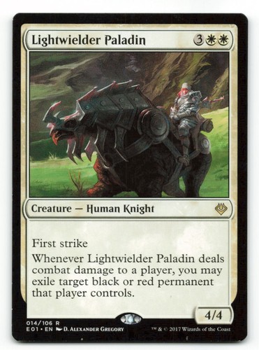 Lightwielder paladin - lightwielder,