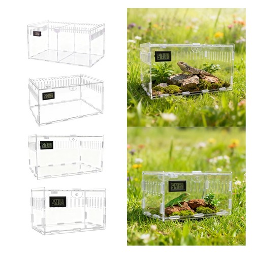 Acrylic spider enclosure - acrylic,