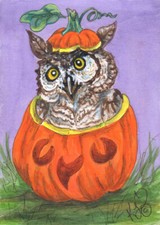 Owl JOL Pumpkin Halloween bird
