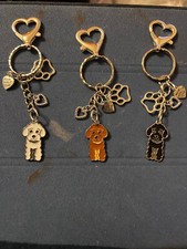 COCKAPOO POODLE DOG PUPPY