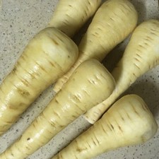 Easy To Grow Your Own GIANT