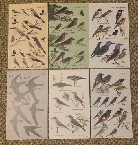 Vintage 1972 book plate - 6x,