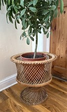 Vintage Wicker Planter Plant