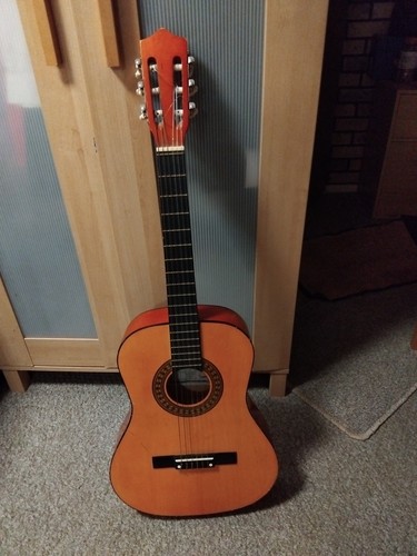 Guitar