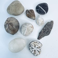 Fossil & Mineral Collection