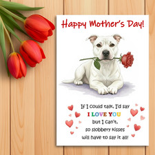 Staffordshire Bull Terrier