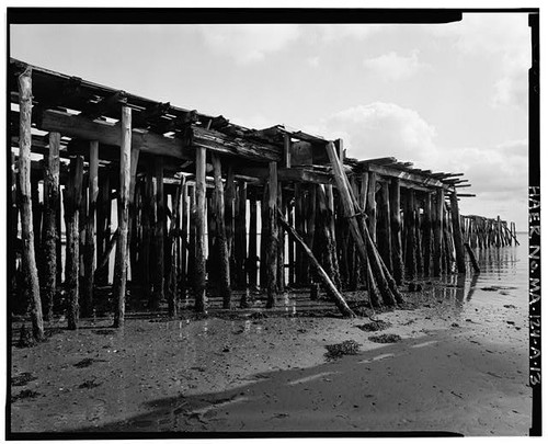 Cape cod cold - cape,