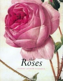 The roses pierre joseph - roses:, pierre-joseph