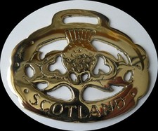 SCOTTISH THISTLE       Horse