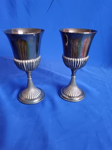 Cavalier silver plated wine - silver,