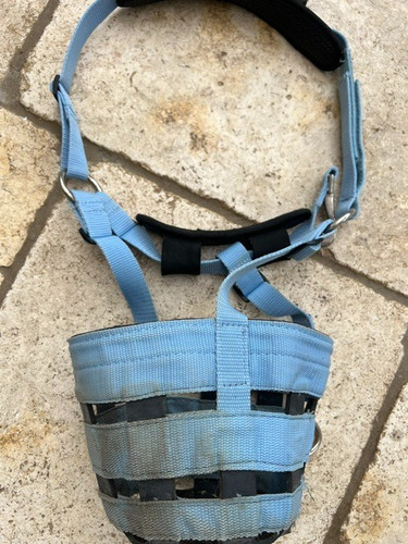 Medium size pale blue grazing - size,