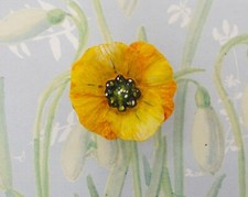 YELLOW WELSH POPPY Lapel