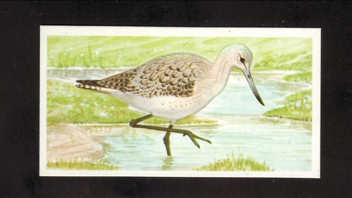 1990 greenshank brooke bond - 1990,