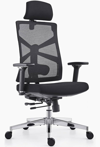 Ergonomic high back mesh - high,