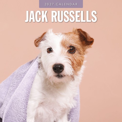 Jack russells 2027 square wall - russells,