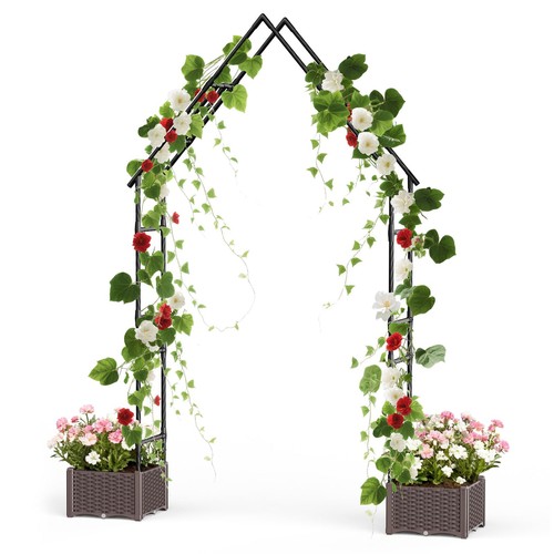 Metal rose arch - double, peak