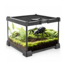 Mini Reptile Glass Terrarium
