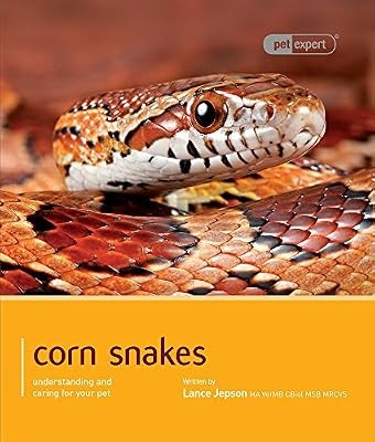 Corn snakes pet expert - pet,
