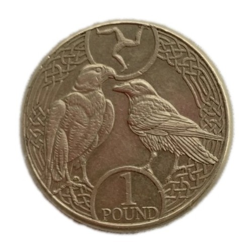 Isle man raven - isle,