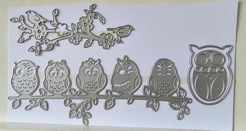 Mixed die set birds owl - -,