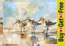 Charming Coastal Sandpiper Birds, Oil Painting Print 5"x7" on Matte Paper