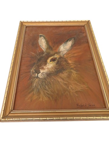 Helen jones rabbit - helen,
