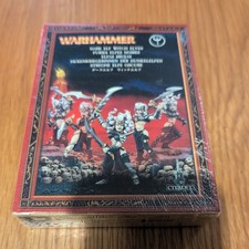 Warhammer Dark Elves Witch