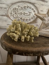Large Gold Coral Sculpture