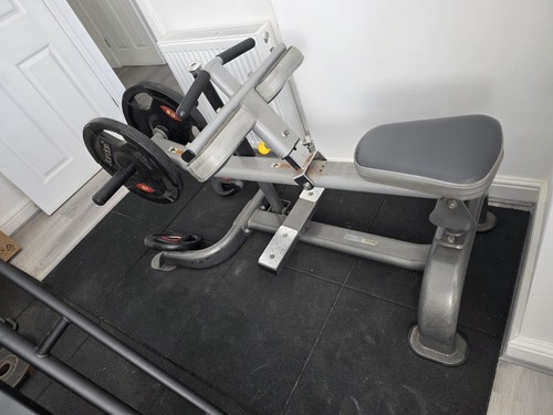 Commercial calf raise - commercial,