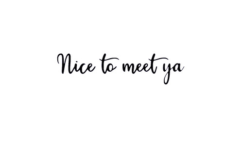 Nice meet car van ev - meet,