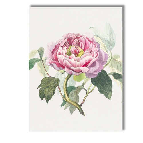 Canvas wall art - decor, picture