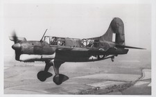 Curtiss SO3C Seamew I US Navy Scout Observation Floatplane Plane Photo