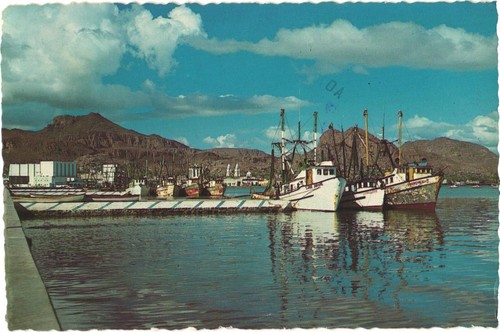 Guaymas sonora mexico - sonora, shrimp