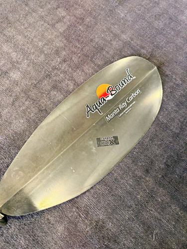 Aqua bound manta ray - ray, carbon