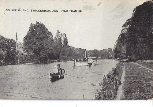 Vintage postcard eel - ,