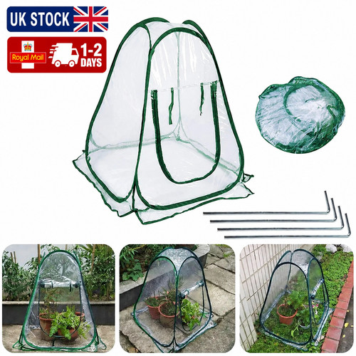 Mini greenhouse tent - popped, up