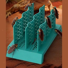 Reptile Food Cup Climbing