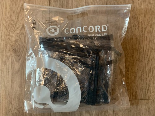 Genuine concord hurricane - hurricane, rain