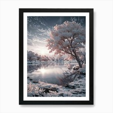 Infrared Photography 2 Art