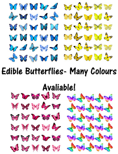Butterflies many colours - many,