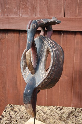 Mossi calao hornbill face - calao,