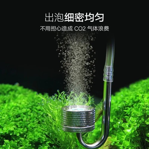 Aquarium co2 diffuser fish - aquarium,