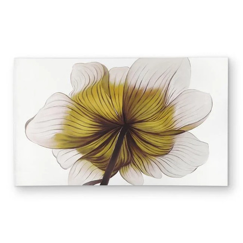 3x5 beautiful anemone - beautiful,