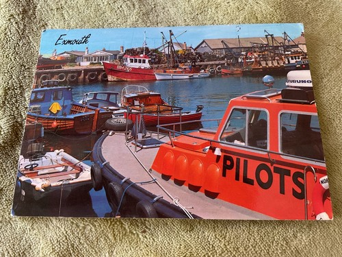 Exmouth harbour devon - devon, postcard