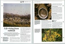 Life Rising From Rubbish - Habitats - The Living Countryside - Eaglemoss Page
