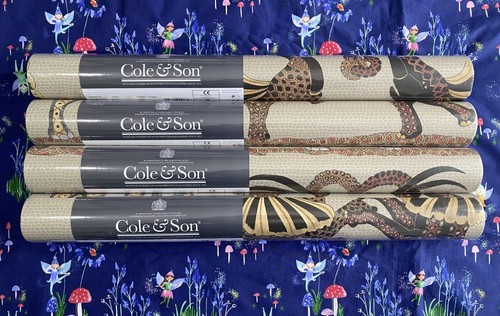 Safari dance wallpaper cole - dance,