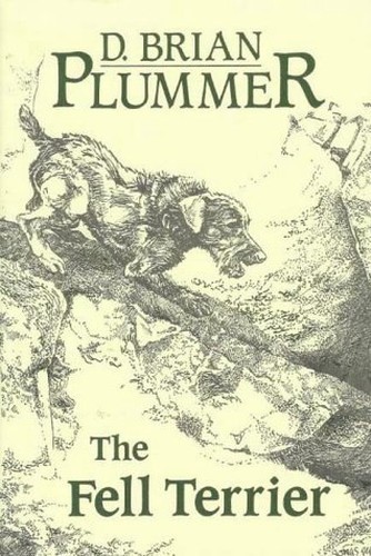 The fell terrier brian - fell, terrier,