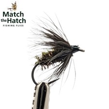 6 Pack Black & Peacock Spider