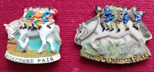 Fridge magnets widecombe - 3d,