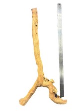 NATURAL WOOD REPTILE BRANCH 60cm VIVARIUM AQUARIUM DECORATION - SNAKE LIZARD 